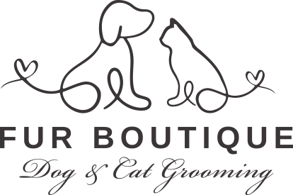 Fur Boutique