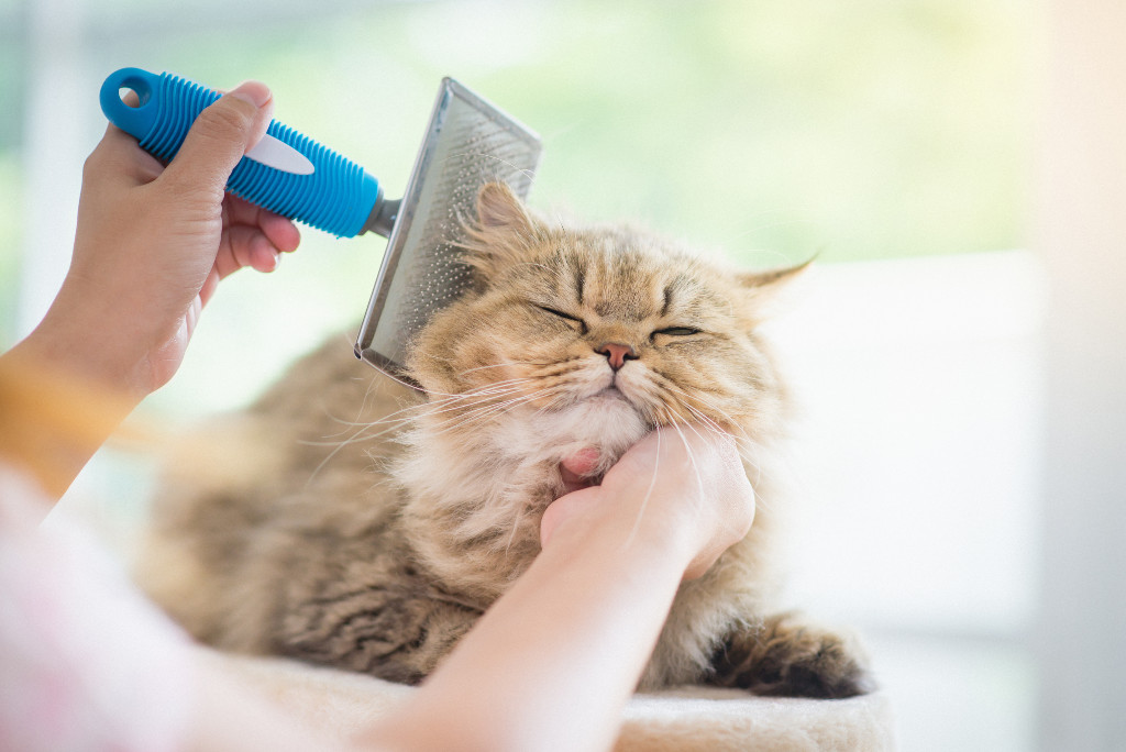 Brush Out