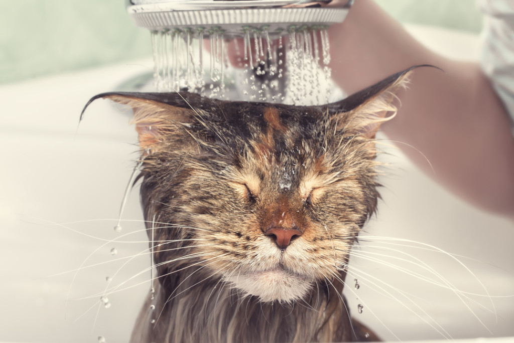 Bathing