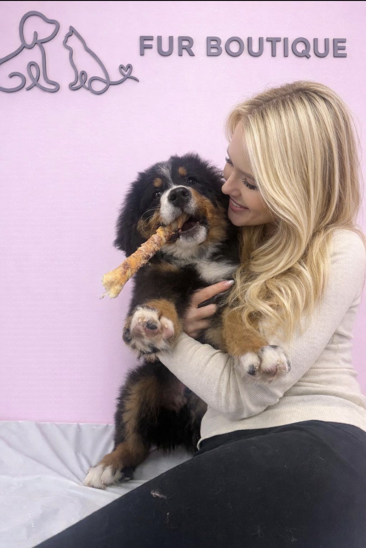 Dog Services