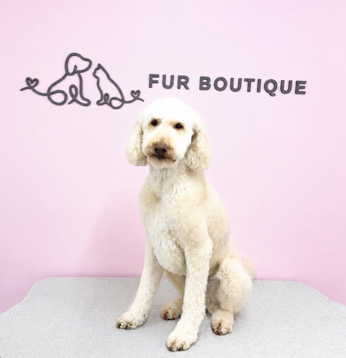 Fur Boutique